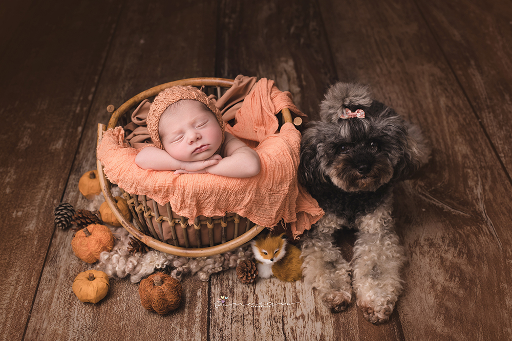 Sesion newborn en Valencia